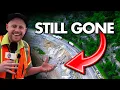 Download Lagu Zien wat er nodig is om door orkanen verwoeste snelwegen te repareren 🌧️