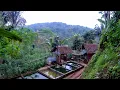 Download Lagu Suasana Sore Yang Tenang Di Kampung Lereng Bukit