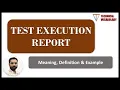 Test Execution Report Meaning of Test Execution Report Definition of Test Execution Report