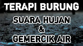 terapi ampuh suara air hujan untuk burung macet bunyi dan burung stres