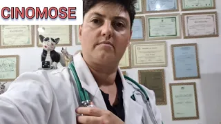 CINOMOSE, FIQUE ATENTO AOS SINAIS E TRATAMENTOS