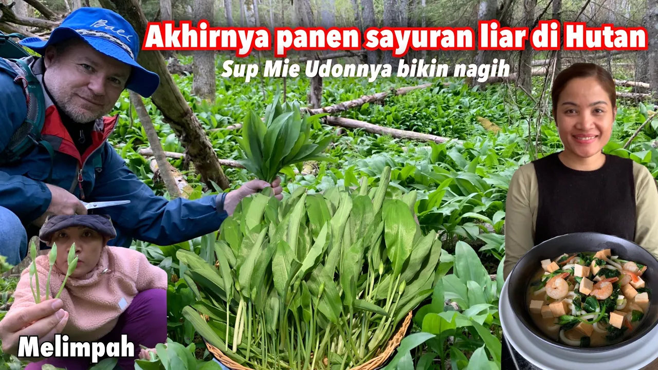 PERDANA PANEN SAYUR GARLIC DI HUTAN DI MASAK SUP UDON ENAK BANGET