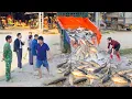 Use Truck To Buy Many Big Fish From Villagers Pulling Nets To Harvest Fish - Sell Fish At Market