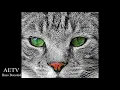 Dusty Kid - Sysma (Bass Boosted)