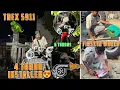 Download Lagu 4 Turbos Kartia Fit T-Rex5911 Te 🔥| Real First in World Tractor with 6 Turbo 🦖| Day4|LuckyGoldsmith