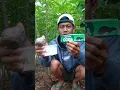 Download Lagu CUMA PAKE LEM TIKUS DAN GETAH KARET#pulutburung #shorts @Endafardiansyah-8c