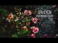 GHIZ - Halcyon