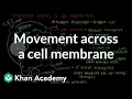 How do things move across a cell membrane Cells MCAT Khan Academy