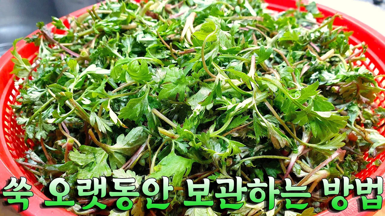 쑥 보관법과 쑥국