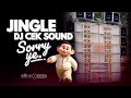 JINGLE DJ CEK SOUND | NANDA AUDIO JEMBER | DJ SORRY YE