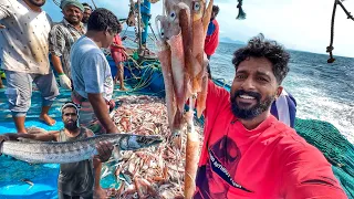 🌊 Kadalodu Oru Naal! Huge Squid Catch 🦑 & Fresh Grouper Meen Curry Cooking | Uncut Fishing Vlog
