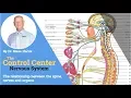 The Control Center Spine Nervous System by Dr Steve Harris