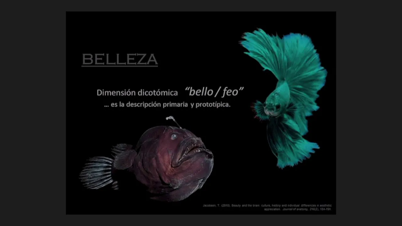 Imagen corporal: Del concepto de belleza a la representación mental del cuerpo