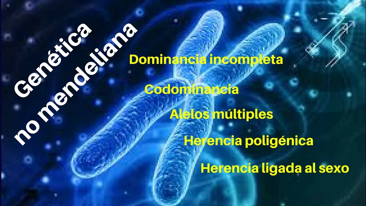 GENÉTICA NO MENDELIANA: Dominancia incompleta, codominancia, alelos múltiples...