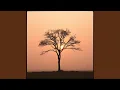 Download Lagu Sta Op Om Wie Je Bent