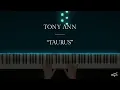 TAURUS “The Tenacious” - Tony Ann