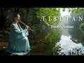 Lagu Tibetan Flute Healing Sounds | Eliminates Negative Energy \u0026 Strengthens Mind
