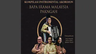 zapin melayu feat mohd fauzi instrumental 