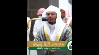 سورة الإخلاص الشيخ ياسر الدوسري دندنها