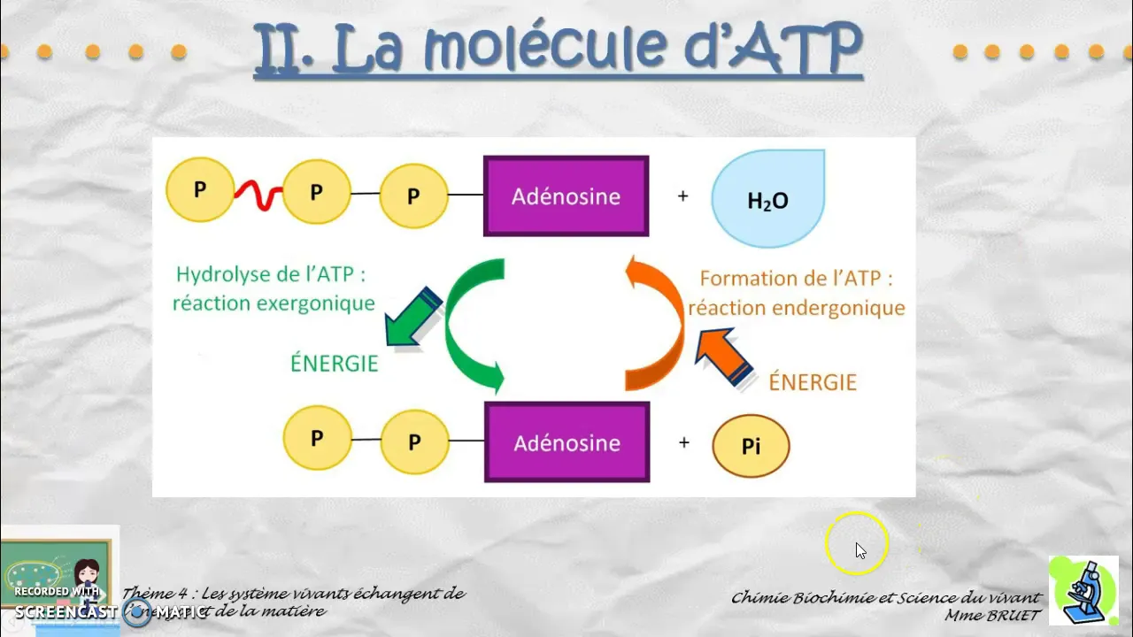 Cours-la molécule d'ATP-CBSV