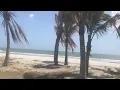 Download Lagu Palm trees and Palapas on the beach Playa Coracol , Panama