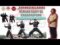 Atraksi pencak silat satria muda indonesia