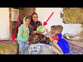 Download Lagu Unstoppable Nomadic Mother Zoleikha and Her Children’s Struggles in the Mountains 🌄❤️