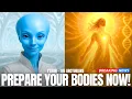 Download Lagu ‼️IMPORTANT SOLAR FLASH UPDATE‼️ | Arcturian Council Of 5 - T'EEAH