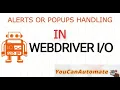 WebdriverIO Tutorial Handling - Episode 7