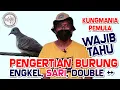 Tipe Suara Burung Perkutut Engkel, Sari, Double \u0026 Triple Yang Kungmania Pemula Wajib Tahu