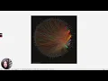 Chord Diagrams with Bonny Mcclain Ep 44