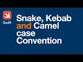 004 Naming Conventions Snake vs Kebab vs Camel cas in 2021