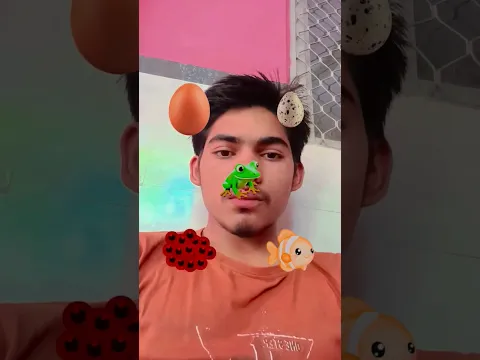 #lyrics