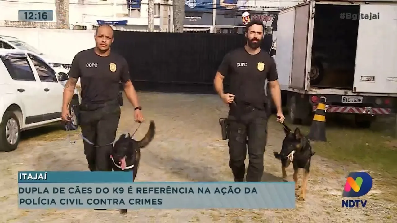 Dupla de cães do K9 é referência na ação da Polìcia Civil contra crimes