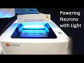 Powering Neurons with Light Optogenetics and the Maestro multielectrode array MEA system