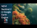 NDVI Sentinel 2 in Google Earth Engine