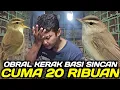 Lagu DILUAR NALAR KERAK BASI SINCAN 20 RIBU DIJUAL HABIS HABISAN HARI INI DIKIOS NASIKIN
