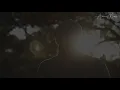 METRICKZ - LIEBE  [Remix by AvenueMusic] [prod. by Felonely Kid]