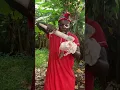 Download Lagu Akana agwokwa ogwu😂😂