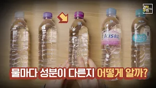 도대체 얘네들은 어디서 온 물일까?