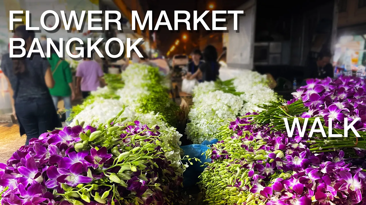 Youtube video kobLc8b_P18 