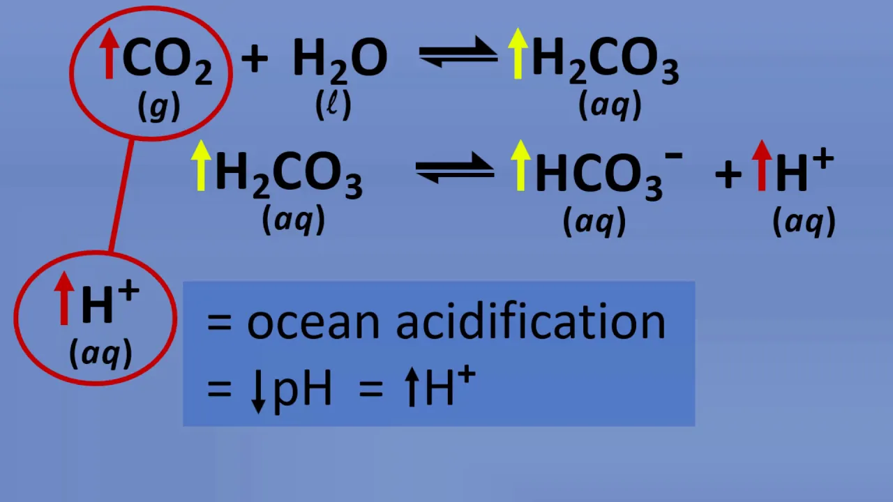 ocean acidification and its consequences