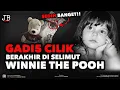 Lagu P3MBN#HAN GADIS 2 TAHUN DAN SELIMUT WINNIE THE POOH‼️| Kisah Nyata Jbstory