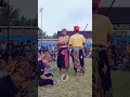 Download Lagu Banteng ngamuk #shorts #shortvideo #sfz