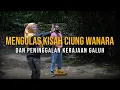 Download Lagu Jejak Leluhur Nusantara | Mengulas Kisah Ciung Wanara dan Peninggalan Kerajaan Galuh (Part 2)