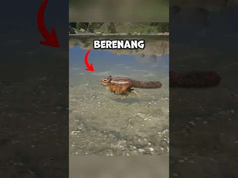 HEWAN vs AIR (part 2)