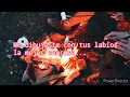 Como no queriendo- Fidel rueda (letra)