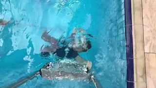          دندنها