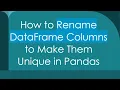 How to Rename DataFrame Columns to Make Them Unique in Pandas