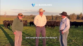 Why does bloodline verification matter to Clunie Range